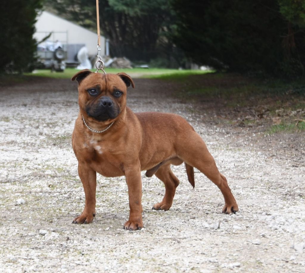 Redbull rampage d'ultime passion