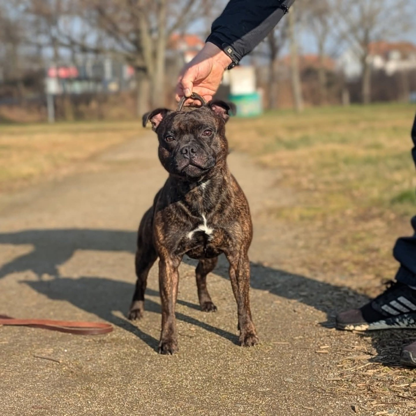 Yabba Dabba Doo of spirit staff's