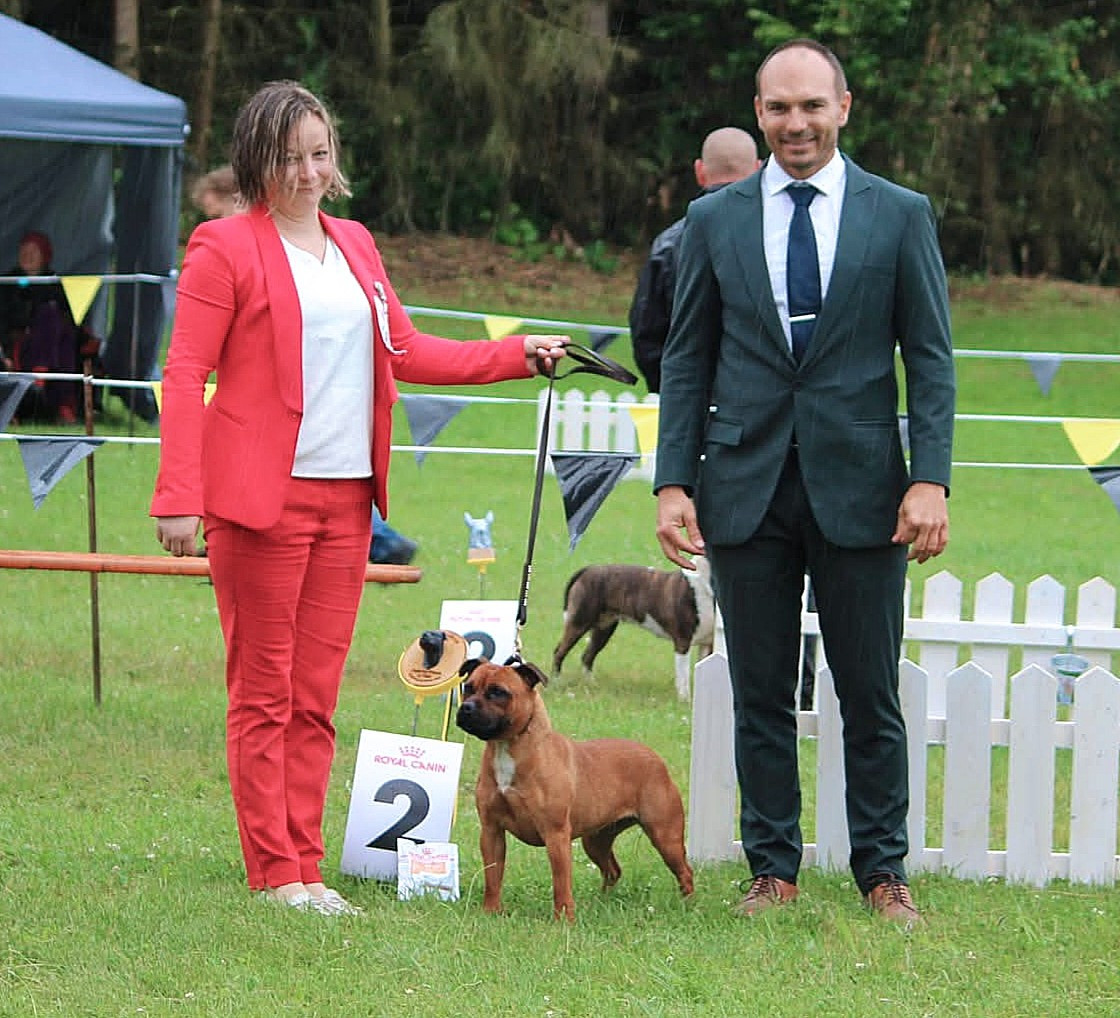 Taste Honey Of Secret's Sources